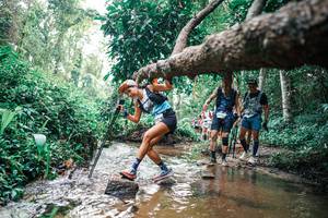 BIB: 
                            <button type="button" onclick="openModal(25369869)" class="btn btn-primary btn-sm float-right btn-popup" data-toggle="modal" data-target=".modal-high-quality">
                        <i class="fas fa-shopping-cart"></i> Add to Cart
                    </button>
                                            <button type="button" onclick="isThisMe(25369869, true)" class="btn btn-success btn-sm float-right btn-popup btn-isme hidden" data-toggle="tooltip" data-placement="bottom" title="นี่คือรูปของคุณใช่ไหม คลิกที่นี่เพื่อเอาเข้าอัลบั้ม">
                        <i class="fas fa-plus"></i> Add to album
                    </button>
                    <button type="button" onclick="isThisMe(25369869, false)" class="btn btn-warning btn-sm float-right btn-popup btn-isnotme hidden">
                        <i class="fas fa-ban"></i> Remove from album
                    </button>